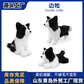 边境牧羊犬轻仿真摆件毛绒玩偶公仔小狗毛绒玩具群泽工厂跨境直发