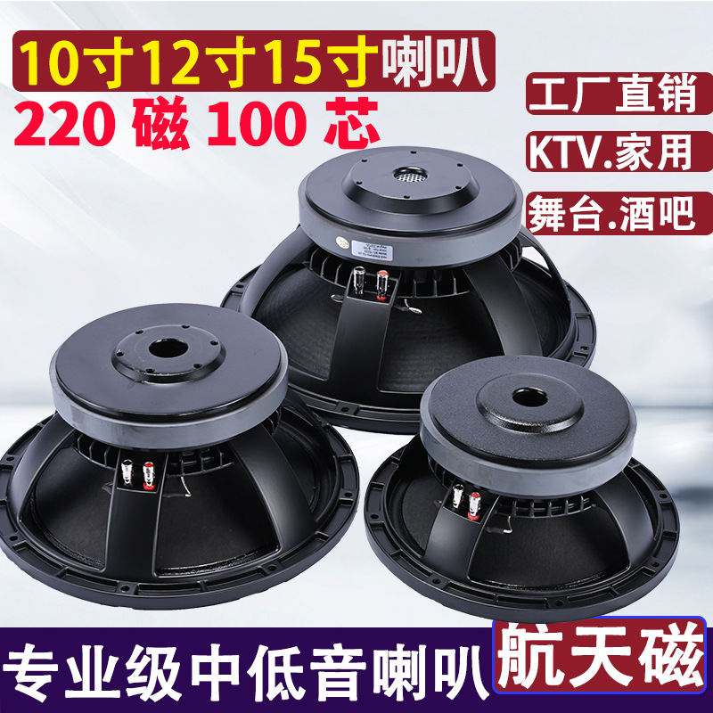 Subwoofer profesional de audio para escenario KTV de 10 pulgadas, 12 pulgadas, 15 pulgadas, con imán de 190 y 220, núcleo de 100.