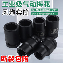 ����С�L��÷����Ͳ12��÷����Ӷ��^1/2���wʮ���ǲ�ж݆̥����