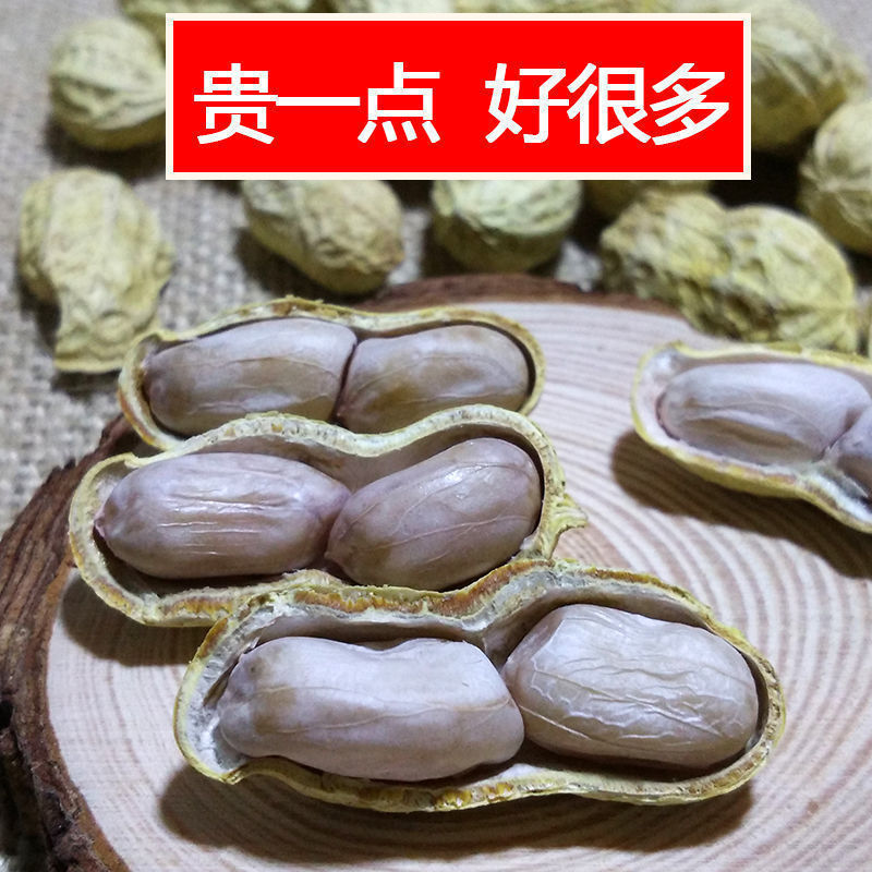 新龙岩水煮花生白晒干盐水煮咸干湿烤熟零食坚果产紫衣花生批发|undefined