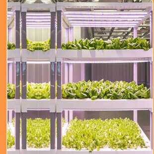 ��ֲ���a���ȫ���Vֲ�����L��ˮ���~�߲˽M������Gֲ���ܲ�ݮ