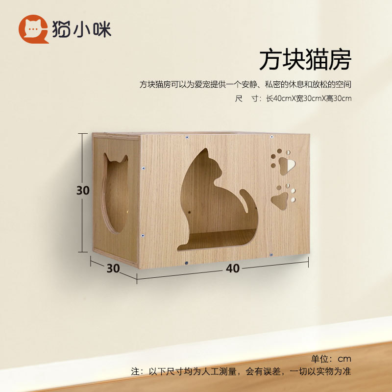 큐브 고양이 방