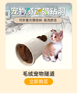 宠物隧道