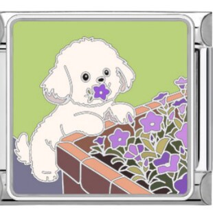 Marine removable small watch strap, bracelet, cute module, Italy 3