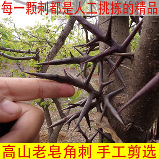 ��Ȼ�ּ������v���r�̹����춡Ұ���؎X�t��̴����Ǵ�