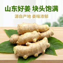 山东大姜老姜生姜风干姜新鲜老黄姜单指无泥生姜月子姜批发大块
