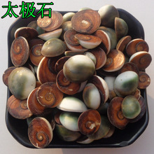 lș̫Oʯˮĸ´Ӻw̫ؐă