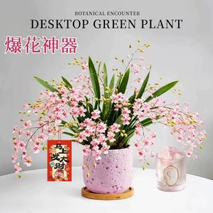 ��ˮ���������m�����������k��������С�Gֲ�҃�����ֲ���ļ����B