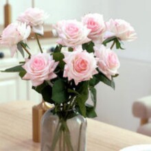 õ�廨�Ҿ��bٻ����滨�߼��к�ɫ�^�z�ָб���õ�廨����߅