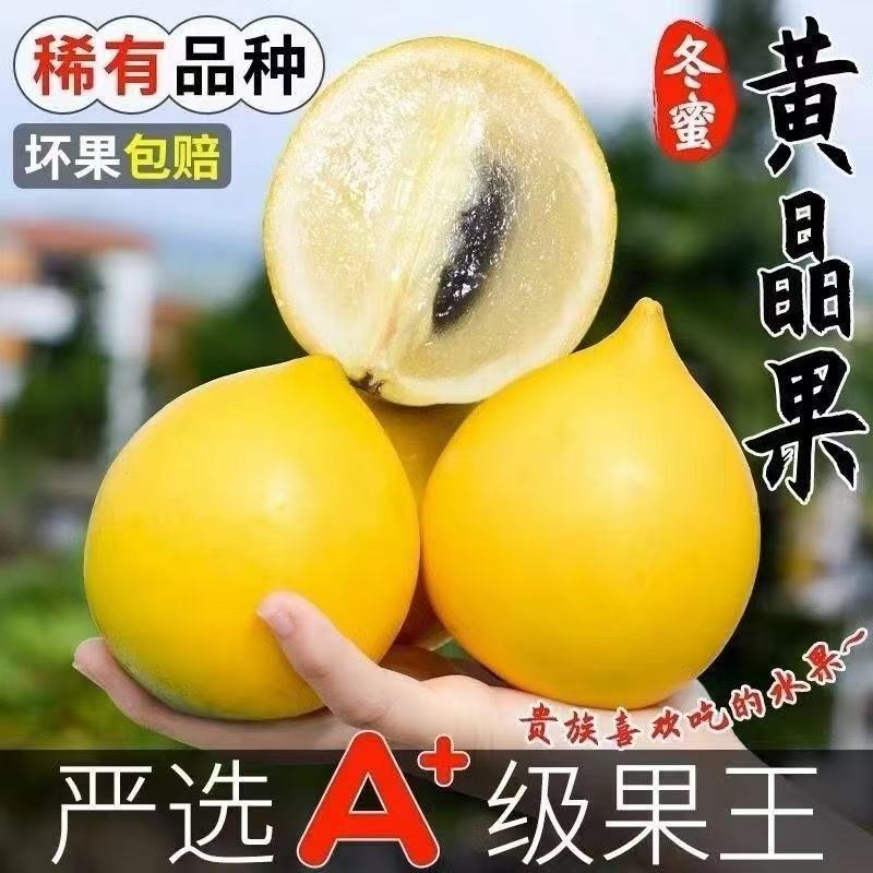 【顺丰速发】冬蜜牛奶黄晶果当季新鲜孕妇水果大果黄金果高端稀有