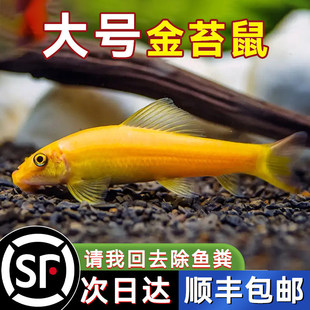 ��̦���坍�~�~�׳��������~�Ꭷ�^�p�~������坍�����С�~���w