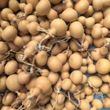 ��Ȼ�������J������澫ƷС���J�������J��ˇƷ���J�촮С���