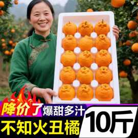 正宗四川不知火丑橘新鲜水果10斤应当季丑八怪粑粑橘柑子春见整箱