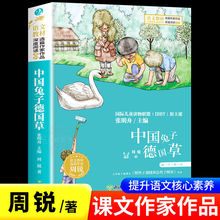 中国兔子德国草周锐著小学生三四五六年级课外书儿童文学故事书