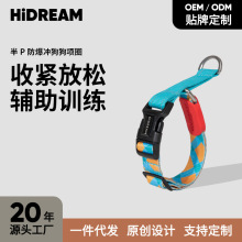 HiDREAM缤纷牵引绳狗狗项圈狗链金毛小型中大型犬狗绳子半P项圈