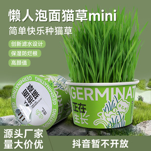 Hatzai Lazy Noodles Cat Grass Mini Hydroponic Cat Grass Spit Hair Ball Clean Mouth Cat Grass Snacks Wholesale
