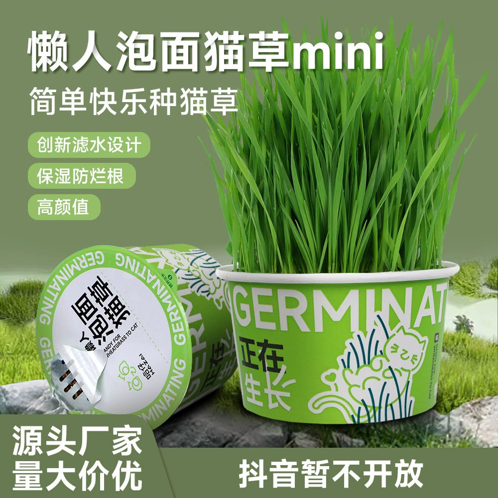 Hagie ленивый пузырь кошка Трава мини гидропонная кошка Трава вертел меховой шарик чистый рот кошка закуска кошка Трава оптом