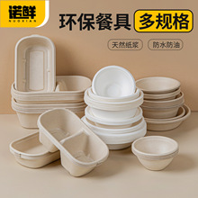 一次性可降解碗打包盒环保食品级餐盒家用加厚烧烤碗环保商用外卖