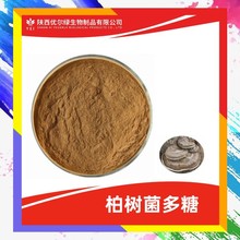羊栖菜多糖50%  优尔绿 另有羊栖菜提取物 优尔绿  羊栖菜粉