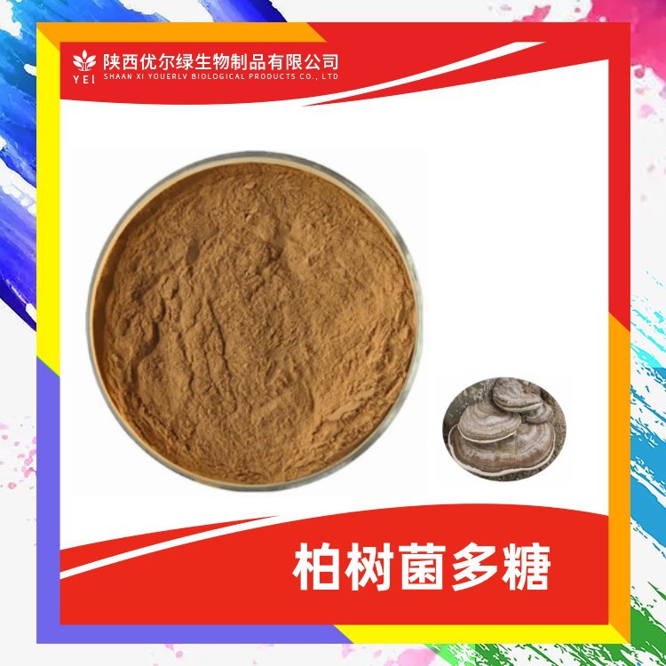 羊栖菜多糖50%  优尔绿 另有羊栖菜提取物 优尔绿  羊栖菜粉