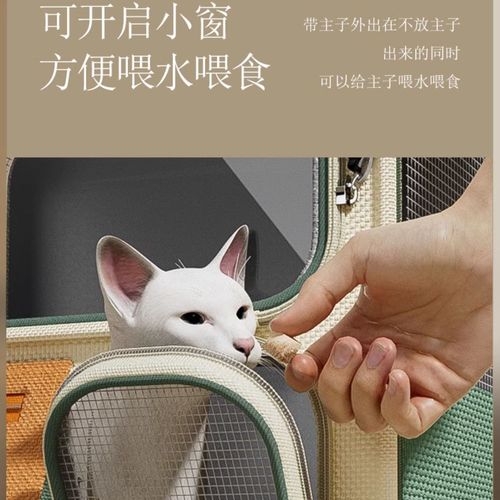 Cat backpack large capacity suitcase for multiple cats, pet portable cat multi-functional wheel pull-along suitcase transparent backpack