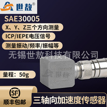 SAE30005ٶȴIEPE(ICP)밲װǿ