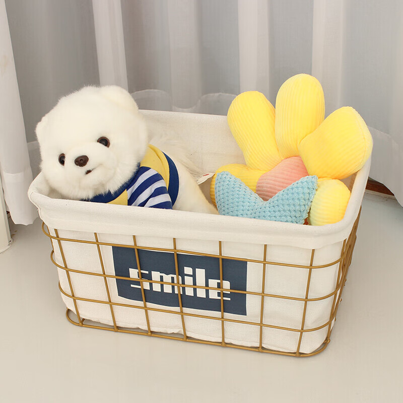 Cesta de almacenamiento sencilla de hierro forjado, caja de almacenamiento de escritorio para refrigerios, artículos diversos, mascarillas faciales, cosméticos, calcetines, almacenamiento y organización.