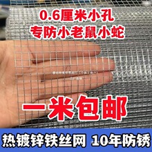 热镀锌铁丝网电焊网小孔防鼠防蛇防锈网阳台窗户护栏网养殖鸡鸭兔