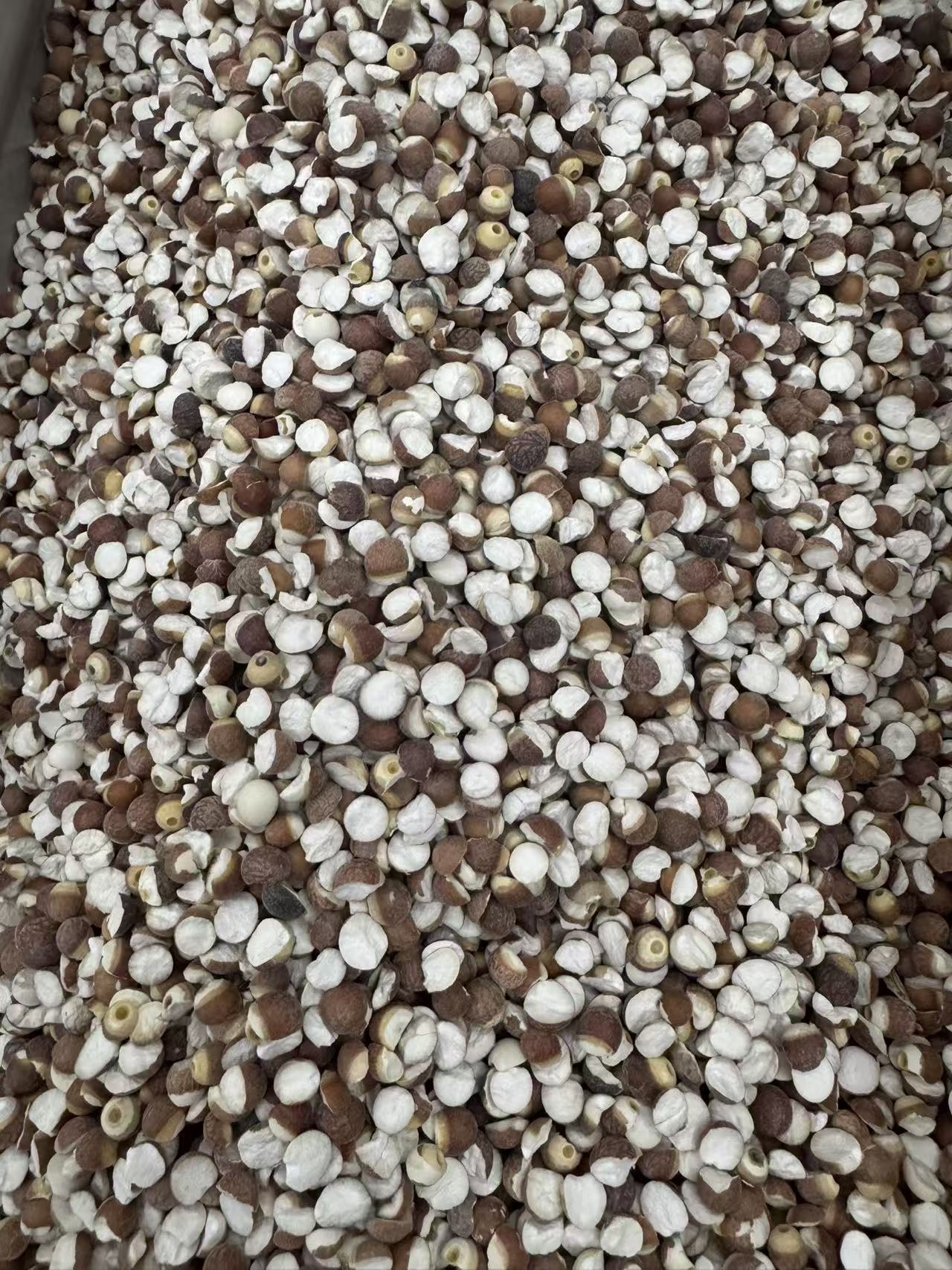 Dried Gorgon Fruit Qian Shi Euryale Ferox Seeds for Soup Tea and Congee 1000g Sulfur-Free Guangdong specifications