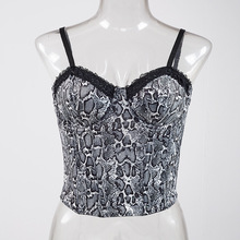 �ٽz�黨�@�ݵ�������Ů2026�¿�ȴ��⴩�OӋ��С���⴩�o������