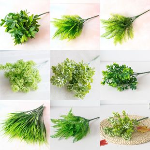 ��� ����ֲ��7���ȼ�����˹�����ϼٻ��Gֲ���� ����ֲ�����