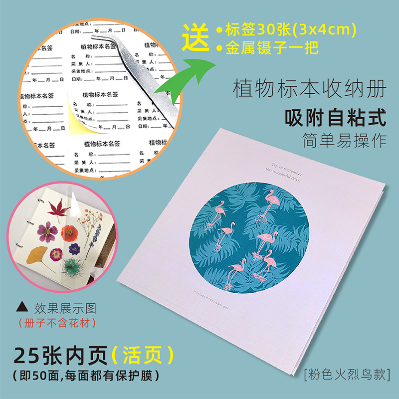 핑크 플라밍고(A형) 표본은 포함되어 있지 않습니다.