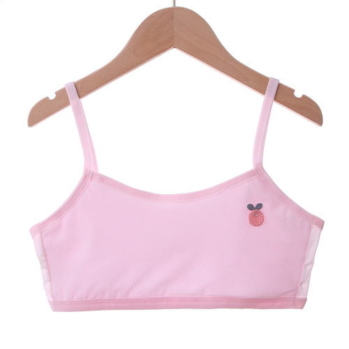 [Fast Hair] Bra-wrapped bra, tube top, no steel ring underwear for female students, Korean version, thin, beautiful back sling for inner wear in summer