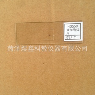 �Ǽ�����Ƭ ��ĸ"e"�bƬ ������Ⱦɫ�w�bƬ ������Ƭ��Ƭ�˱�