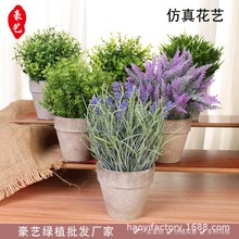 ����Gֲ���ԟ��N���u��Ʒ���ϻ���ֲ���辰�b羳��̏S�����l