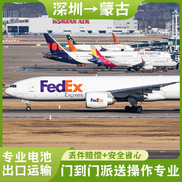 Электрический велосипед чистый аккумулятор Шэньчжэнь в Монголию FedEx Экспресс с налогом двойной очистки до двери DDU выделенная логистика