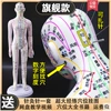 Colorful soft model [54cm female model] The arm can turn the digital scale - can be used for acupuncture