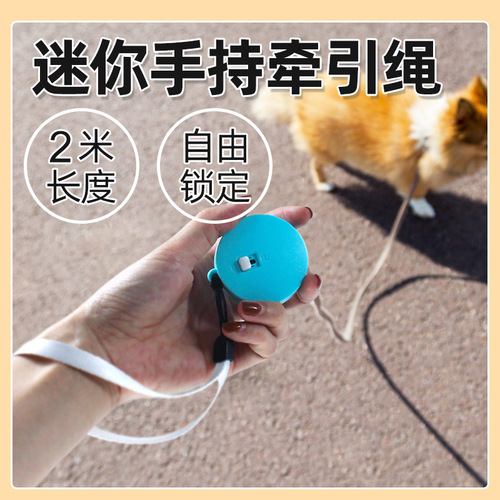Automatic Retractable Nylon Pet Leash for Small Dogs and Cats, Mini 2-meter Pet Collar, Portable and New Model for International Trade