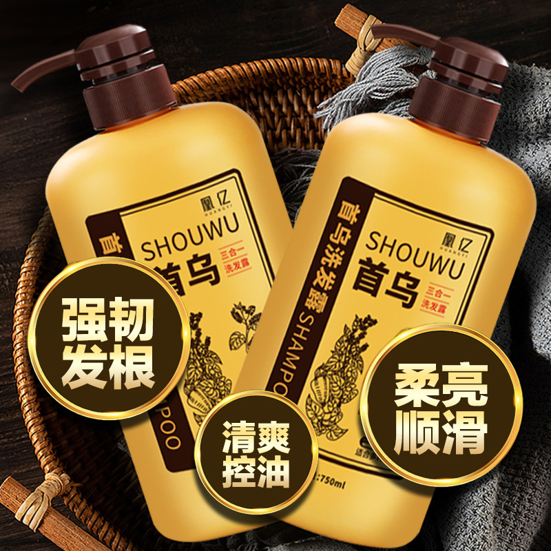 廠家批發何首烏黑靈芝洗髮膏滋潤植萃洗髮露側柏葉生薑洗髮水