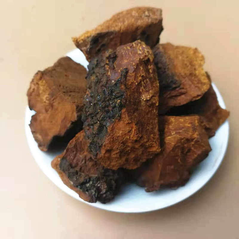 Chaga Mushroom Bulk Dried Sclerotia Huashurong Inonotus obliquus for Tea and Decoction 500g specifications