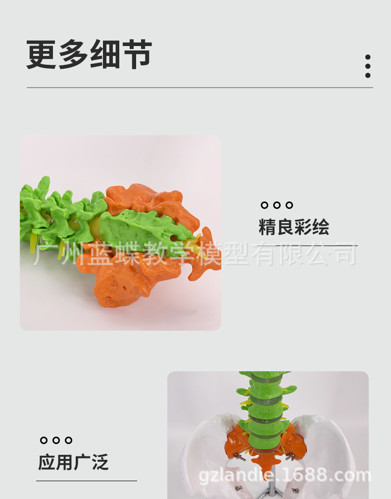自然大脊柱_07