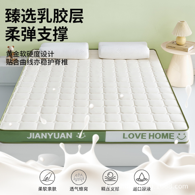 Latex Memory Foam Mattress Cover for Home Bedroom Tatami Cushion Student Dormitory Rental Special Mattress