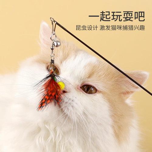 Pet cat toy with insect elements for self-entertainment, steel wire replacement head, amusing toy, small moth, cat toy manufacturer