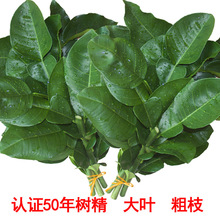 �Fժ�����~ȥ�ޚ� �_�\�D�\���w�¾��۸� ���Ϙ�Gɫ���r��֦�~