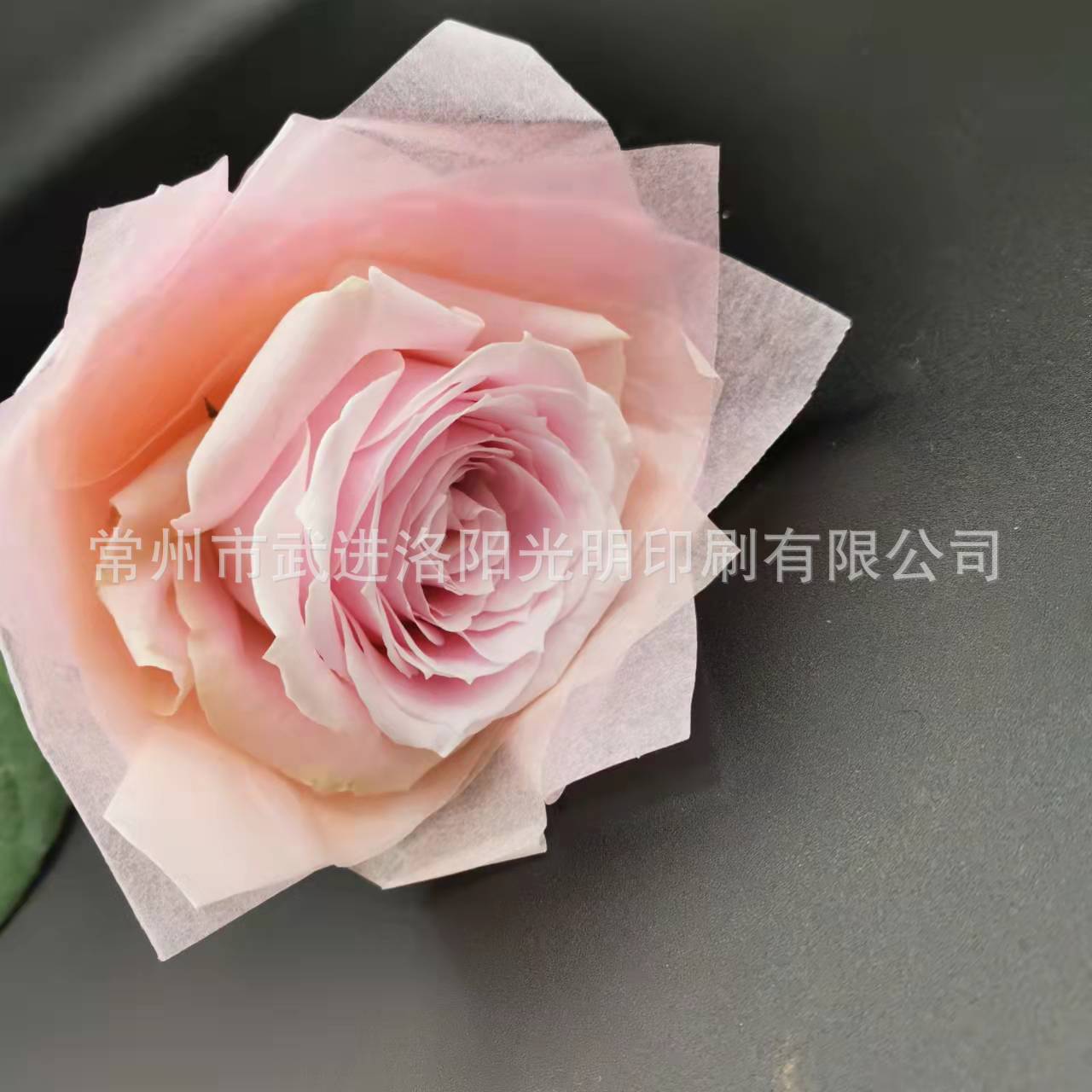 微信图片_202111061239151