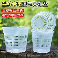 Special Plastic Orchid Pot for Bonsai Orchids, Breathable and Anti-Rot, Suitable for Phalaenopsis and Dendrobium Orchids, Thick Plastic, Breathable