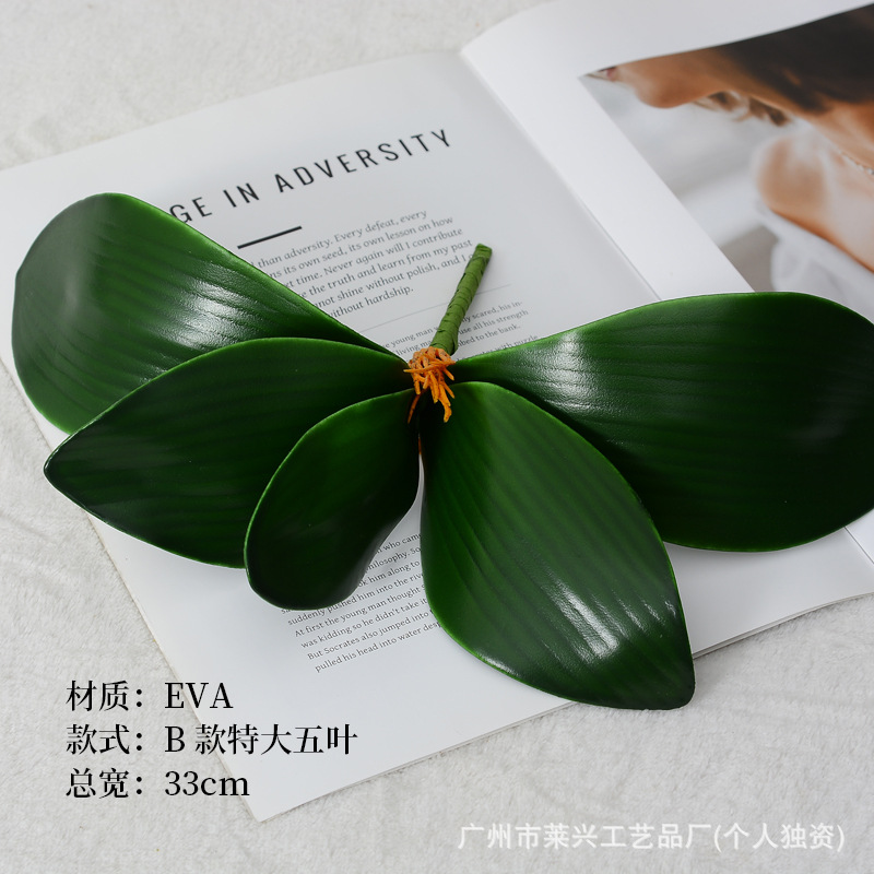 EVA-B 초대형 5 잎