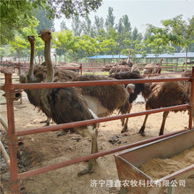 һֻ��������r�B�������������X ���^�^�p�r�B���w �����r�B��