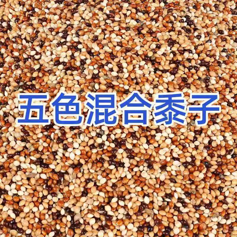 混合鳥の餌 鳥の餌 オウムの餌 タイガーピーチ 黒鳳凰 牡丹 五色雑穀 食品雑穀 250g シェル付き|undefined