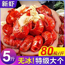 龙虾尾无冰特大虾尾特大号无冰衣新鲜活小龙虾冷冻